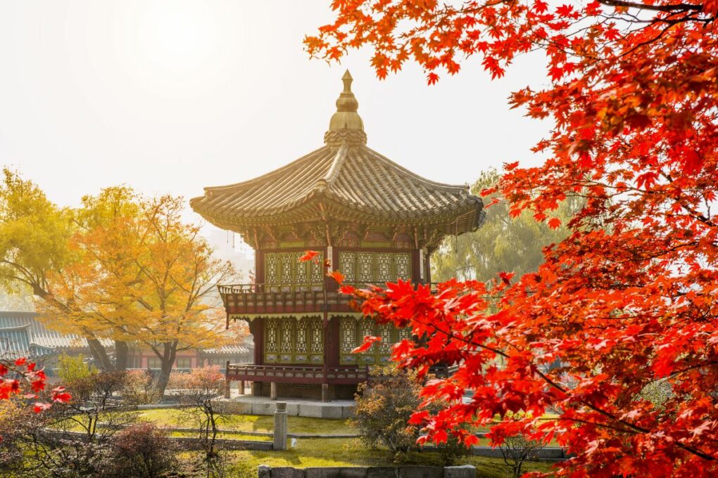 Autumn Skin care