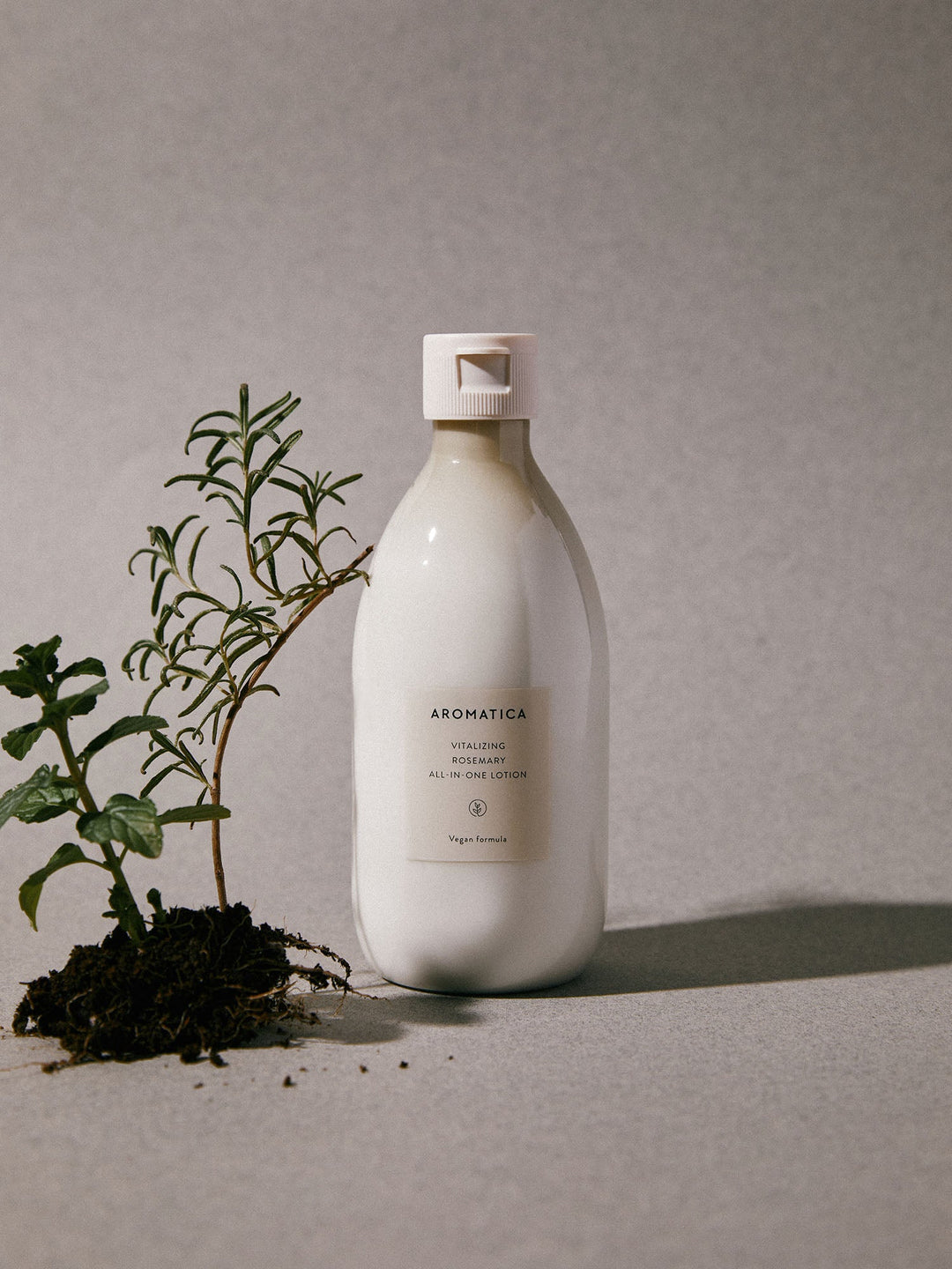 Korean skincare products containing Shea butter