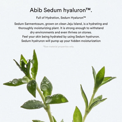 [Abib] Sedum hyaluron pad Hydrating touch - 165ml. 75 pads-Abib-Luxiface