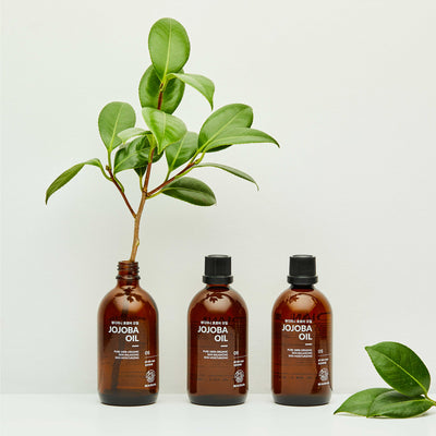 [Beaudiani] Jojoba Oil 100ml-Luxiface.com