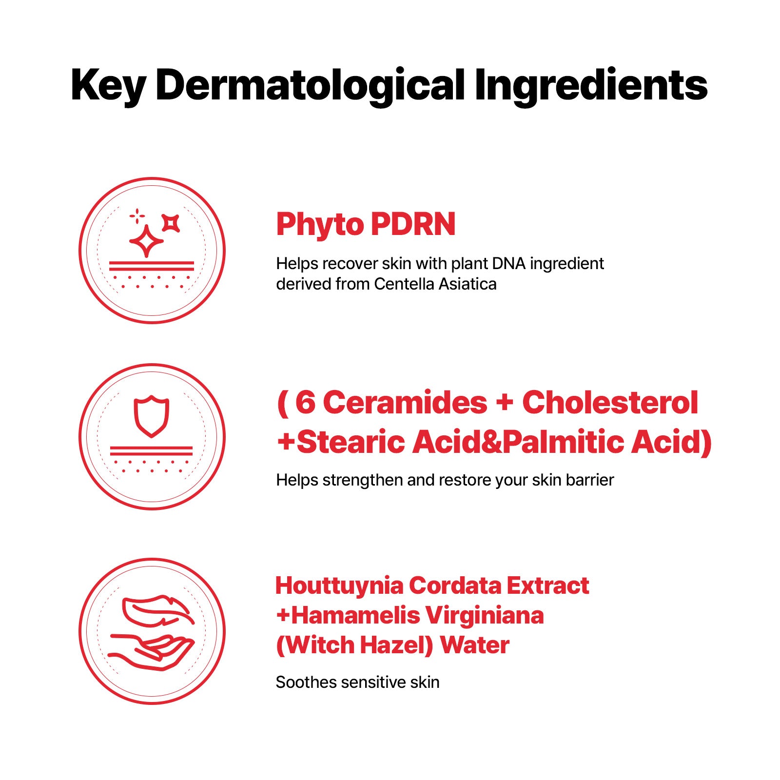CellFusionC Sunscreen & Ampoule Double Set (2+2) [Bundle] image 7