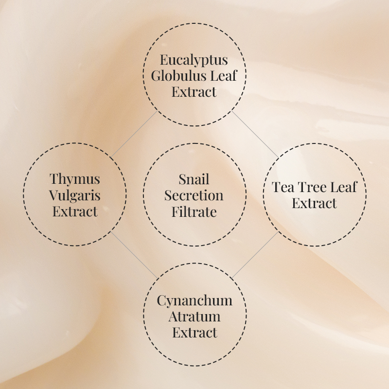 [Coeur] Ghost Repair Cream 50ml-Luxiface.com