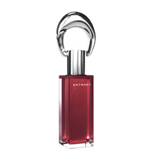 [Entropy] Charm Tint - Amber Charm