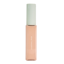 [Entropy] Organza Fit Spatula Foundation #21.1