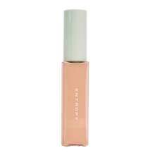[Entropy] Organza Fit Spatula Foundation #22.8