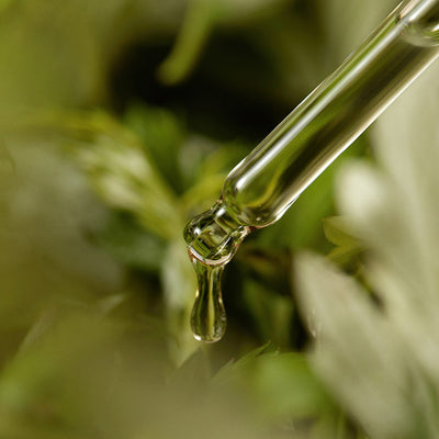 [ImFrom] Mugwort Serum 30ml-Luxiface.com