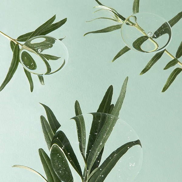 [ImFrom] Vitamin Tree Sheet Mask 22 ml (1ea)-Luxiface.com