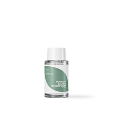 [Isntree] Mugwort Calming Powder Wash 15g