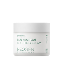 [neogen] Dermalogy Real Heartleaf Soothing Cream 80g