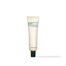 [PyunkangYul] Calming Madecasoside Spot Cream 30ml