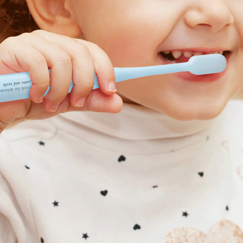 [PyunkangYul] Mild Toothpaste (Blueberry) 60g*2-Luxiface.com