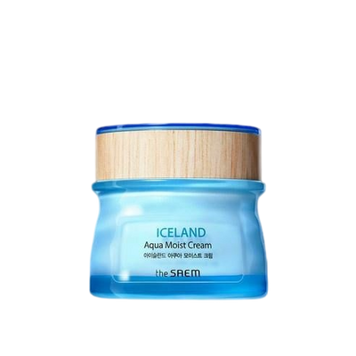 [The SAEM] Iceland Aqua Moist Cream 60ml-Luxiface.com