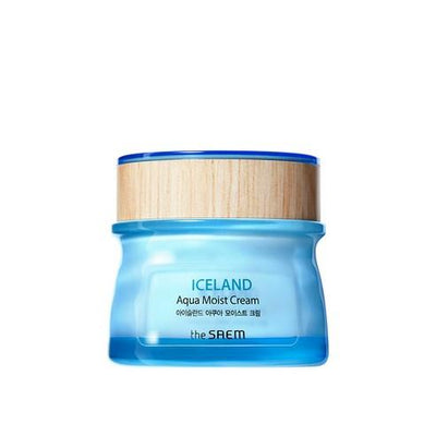 [The SAEM] Iceland Aqua Moist Cream 60ml-The SAEM-Luxiface